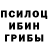 Галлюциногенные грибы прущие грибы Matvey Tsyganov