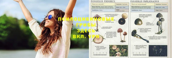 mix Армянск
