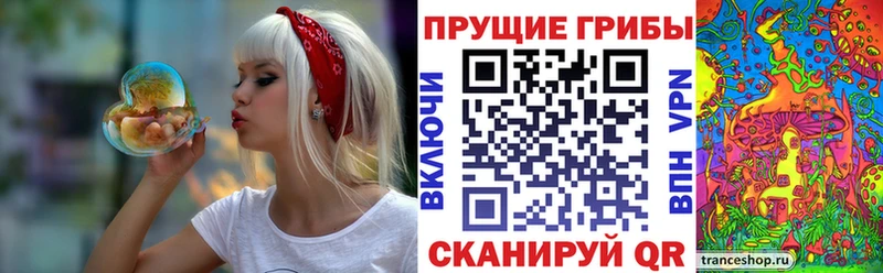 Галлюциногенные грибы Psilocybine cubensis  наркотики  omg ТОР  Удомля 